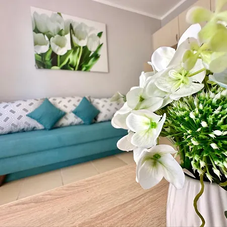 Apartmán Jasmine - Menada Sluneční pobřeží